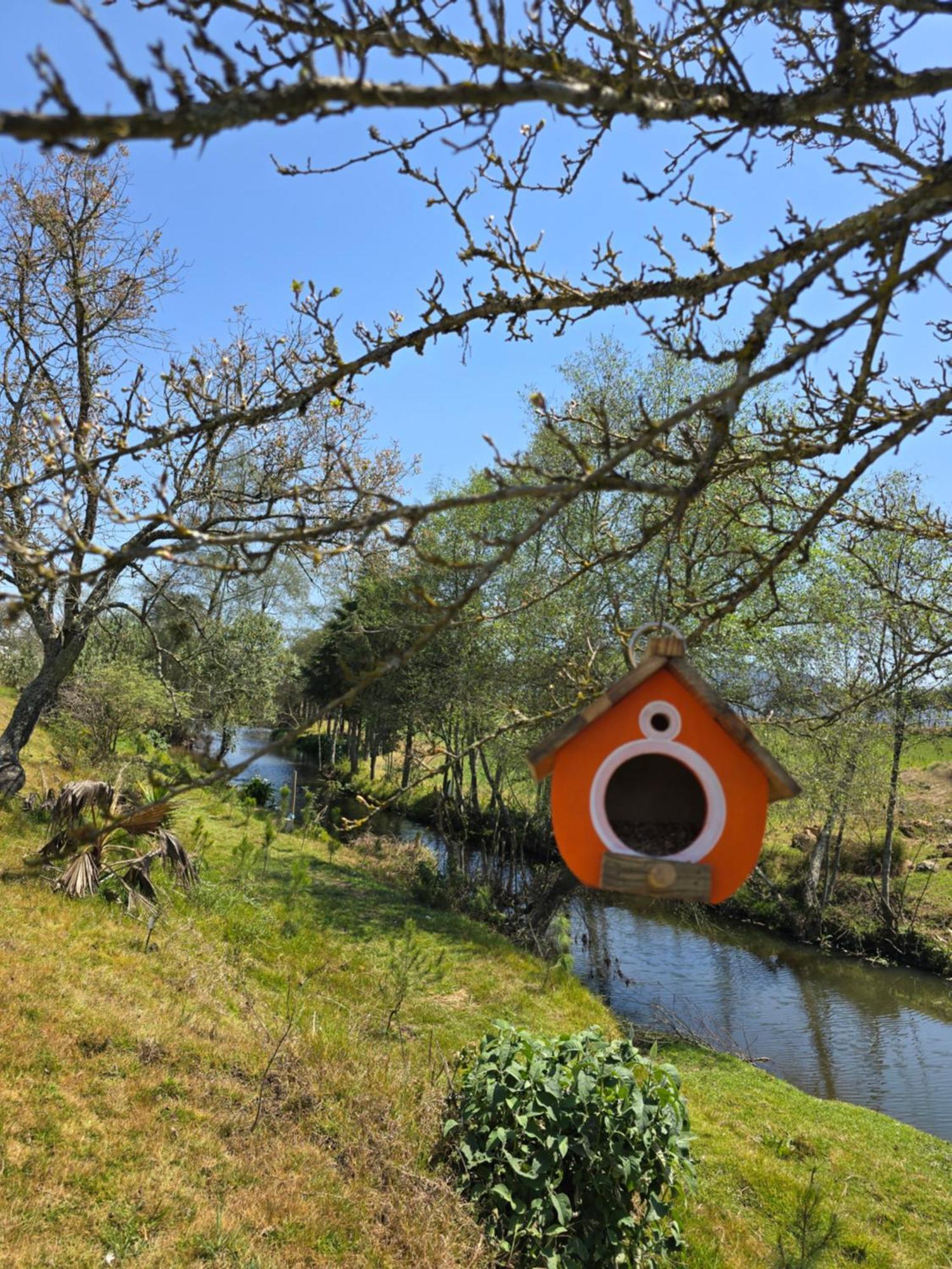 Cabana El Rio La Grande Zacatlán Exterior foto
